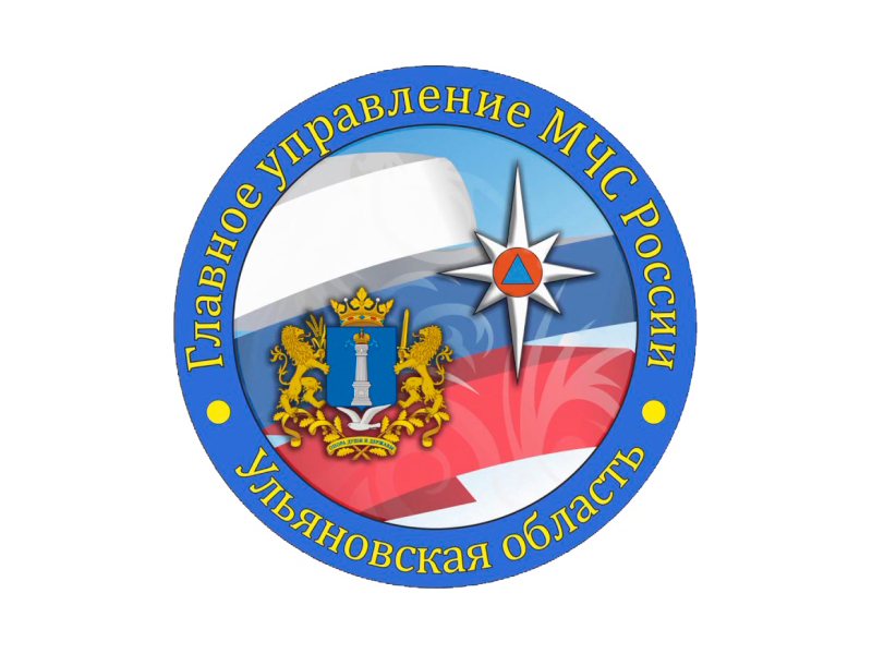 Правила безопасного поведения в лесу для грибников.